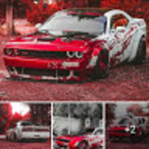 Meet your Posher, Isabella